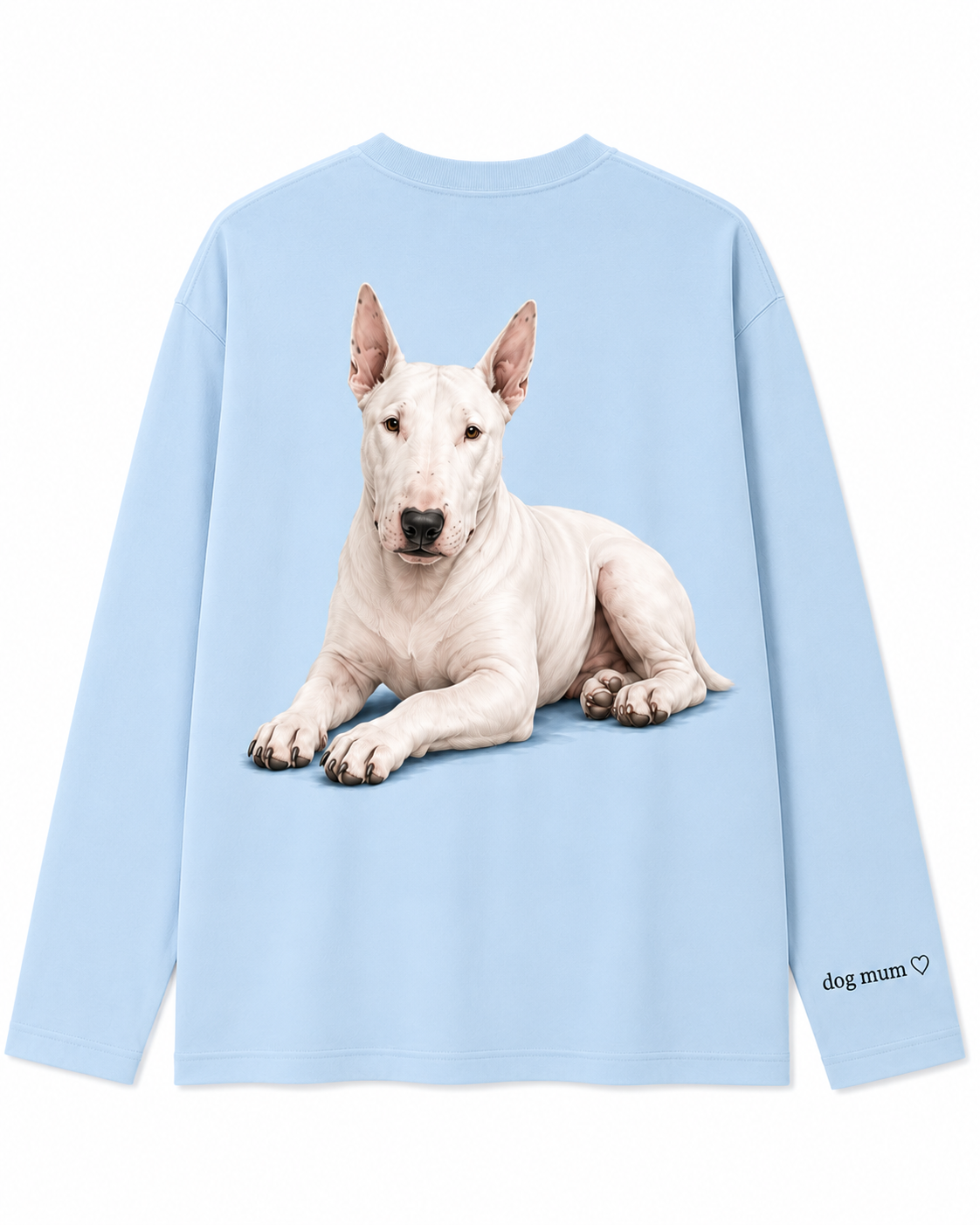 Longleeve_Cloud_Bullie